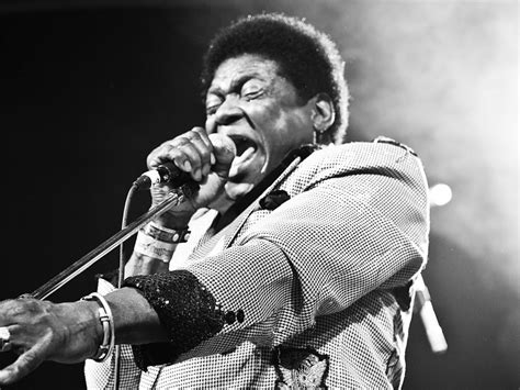 Charles Bradley live in Berlin am 9. April 2016 – laut.de – Konzert