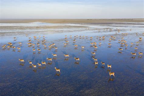 16 Things I Learned On Safari With A Professional Wildlife Photographer | TravelAwaits