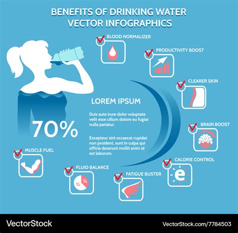 Benefits of drinking water infographics Royalty Free Vector