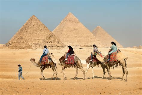 Four People Riding on Camels Across the Pyramids · Free Stock Photo