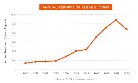 Algae Bloom Map 2024 - Blisse Elisabeth