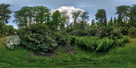 Bad Altheide park - Nature HDRi Map - HDRMAPS™