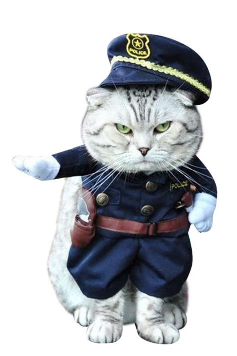 30 Pet Cat Halloween Costumes 2017 - Cute Ideas for Cat Costumes