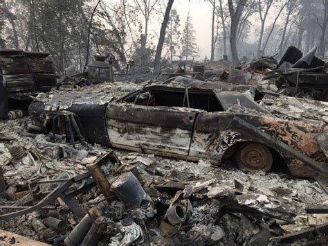 Number of forest fires in California tripled: from 200 to 631 - Afrinik