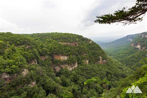 North Georgia Hiking Trails: Our Top 10 Favorite Hikes