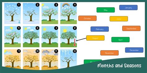 Months and Seasons – EC Academy