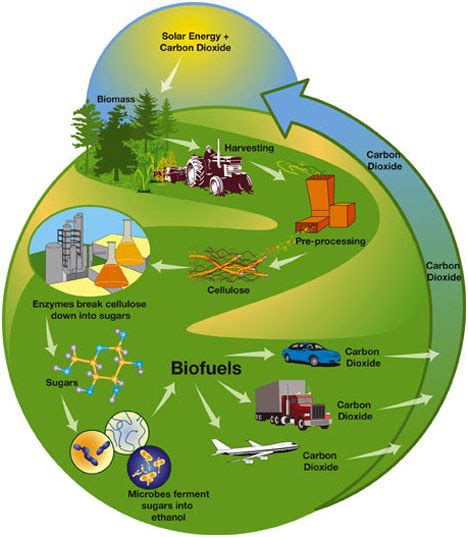 Biomass Fuel Examples