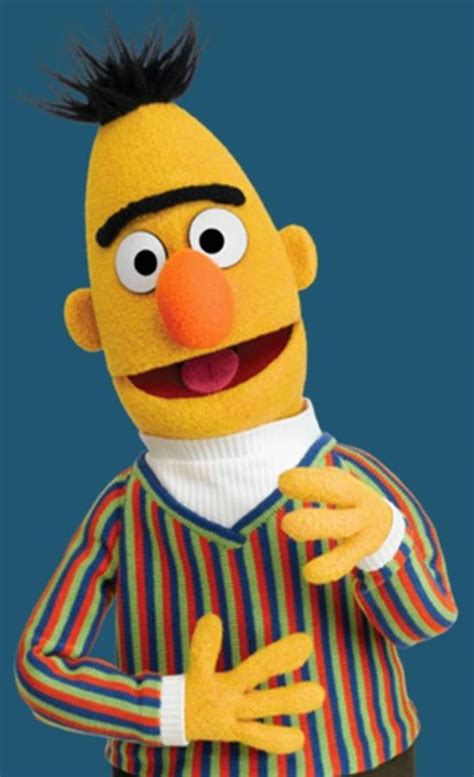 Bert Photograph by Sesame Street