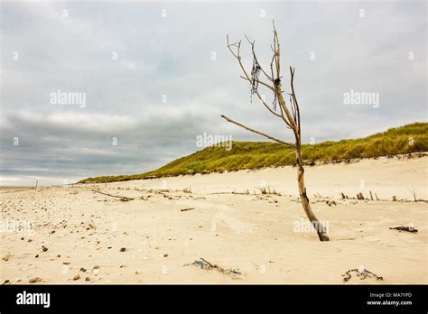 Beach on the North Sea island Amrum, Germany Stock Photo - Alamy