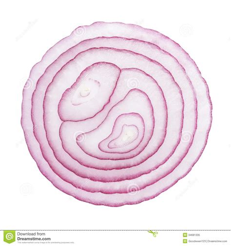 Cut onion clipart 20 free Cliparts | Download images on Clipground 2024