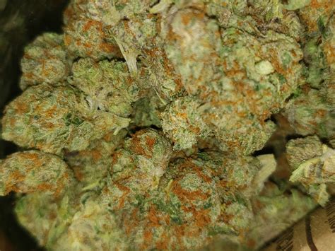 Fatso OG Marijuana Strain Information & Reviews | AllBud