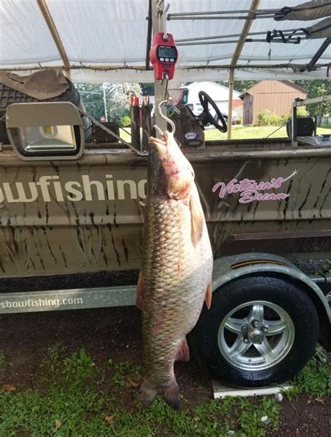 Bowfishing Photo Gallery | Lancaster County, PA | Night Ventures Bowfishing Charters