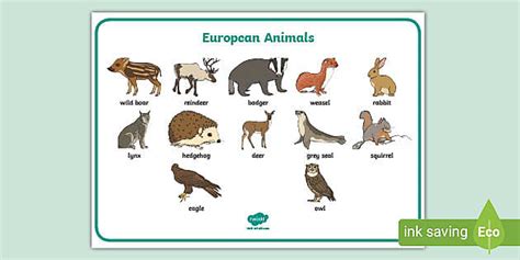 European Animals Word Mat (l'enseignant a fait) - Twinkl