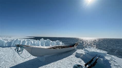 2023 Arctic Report Card calls for immediate action - ICT News