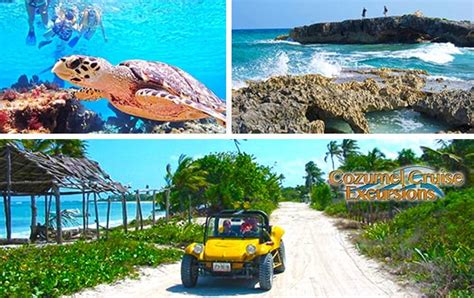 Private Cozumel Dune Buggy Tour in Cozumel Mexico 40% OFF