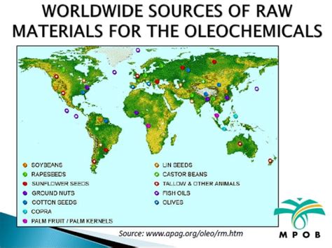 Palm Oil and its Applications in Oleochemicals Industries: an Overview | PPT