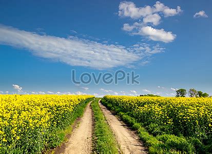 Dirt Background Images, HD Pictures For Free Vectors Download - Lovepik.com