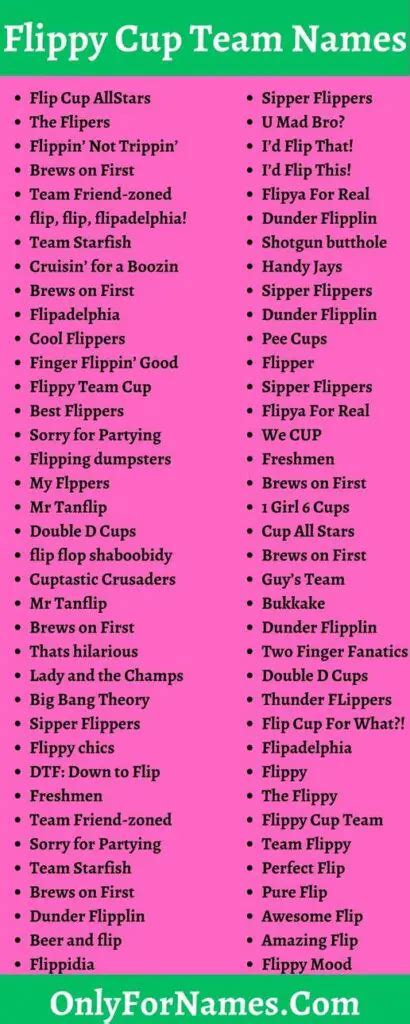 101+ Flippy Cup Team Names For Cool, Good & Catchy