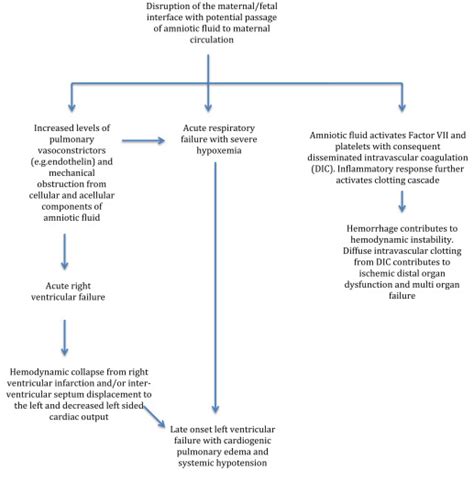 Amniotic fluid embolism: diagnosis and management | Obgyn Key