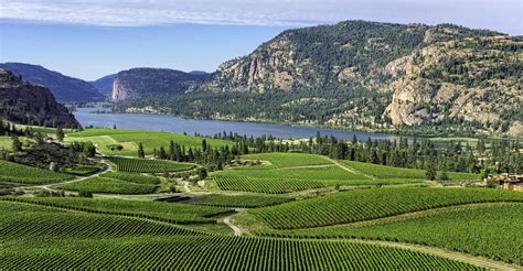 South Okanagan, Oliver, Okanagan Falls, Osoyoos real estate