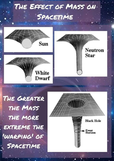 The Anatomy of a Black Hole: Diving Deep into the Singularity