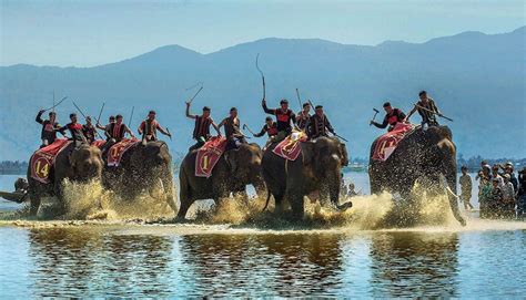 Elephant Racing Festival