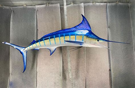 Sailfish Mounts and Replicas Made in America - New Wave Taxidermy