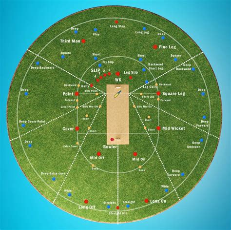 Master Cricket Fielding Positions and Dominate the Field - Spinny Sports