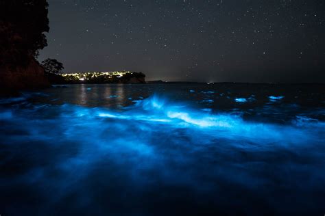 How to see bioluminescence in the ocean - Extreme Pursuit