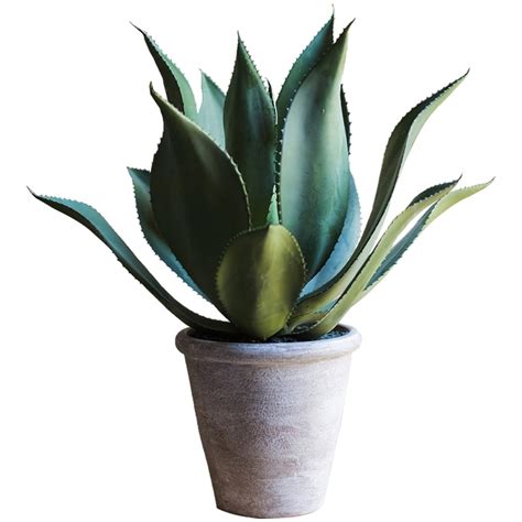 Artificial Large Potted Agave Plant 22.8" – RusticReach