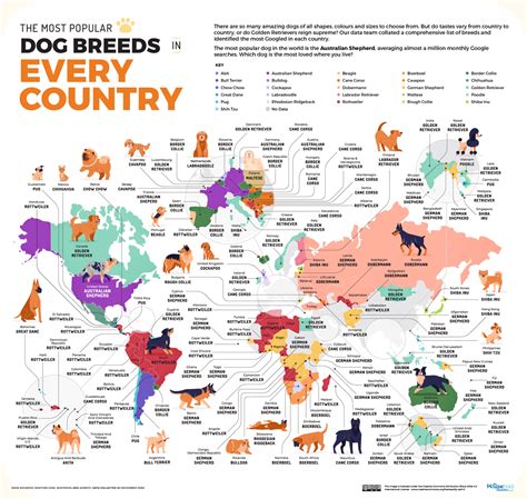 The Most Popular Dog Breed in Every Country [MAP]