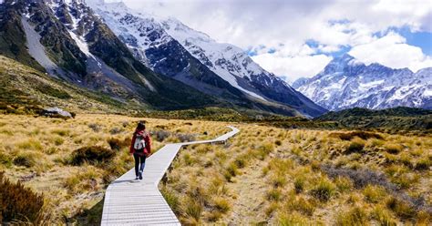 Queenstown: Mount Cook Premium Guided Day Tour | GetYourGuide