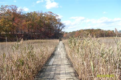 Over the Marsh on The Blue Trail in Cheesequake State Park | State ...