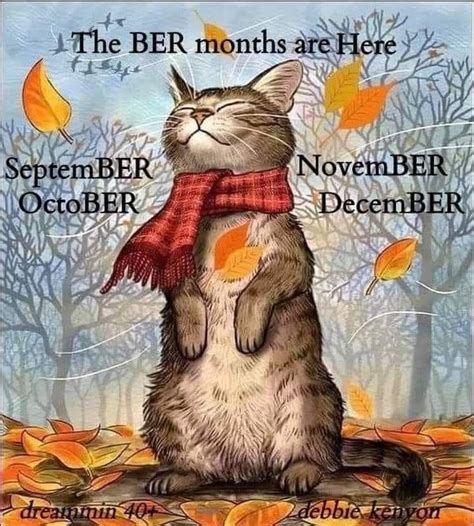 Pin by Kathy Scheuffele on Fall | Ber months, Fall fun, Cat quotes