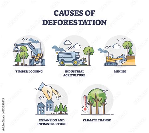 Causes of deforestation and wood resources consumption outline collection set. Labeled ...