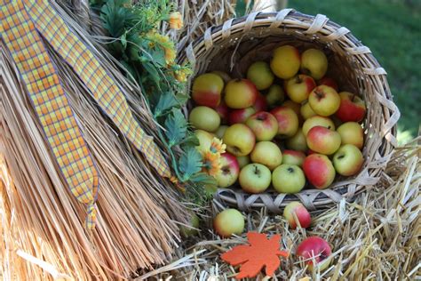 Free Images : apple, plant, grape, flower, orange, food, harvest, produce, agriculture, banana ...