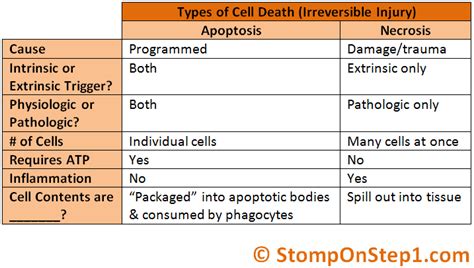 Apoptosis & Types of Necrosis | Stomp On Step1