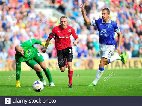 Cardiff City's Craig Bellamy and Everton goalkeeper Tim Howard and Phil ...