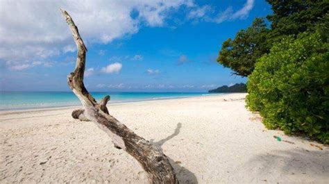 Radhanagar Beach in Andaman with its turquoise blue waters and powdery white sands lives up to ...