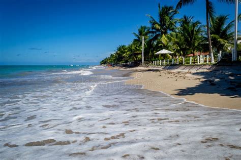 Beaches of Brazil - Tamandare Beach, Pernambuco State Stock Image - Image of holiday, beach ...