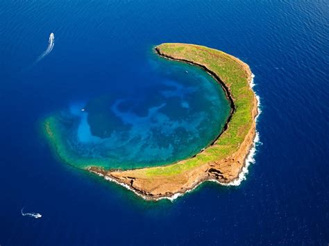 Molokini and Turtle Town - Snorkelling Maui's Most Famous Dive Sites