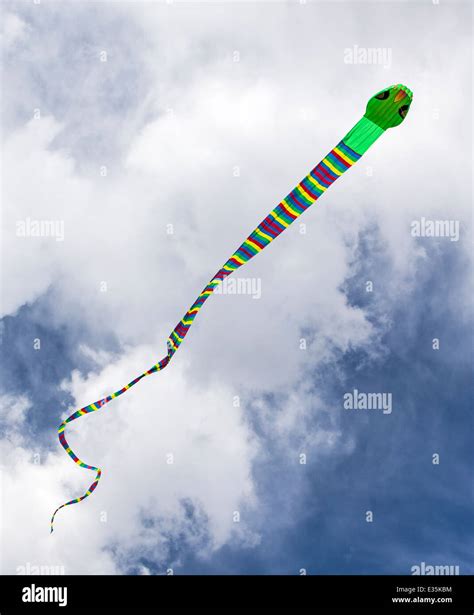 Serpent snake shaped kite against a Colorado sky Stock Photo - Alamy