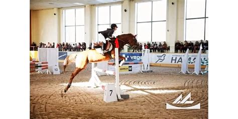 Horse riding in Yerevan