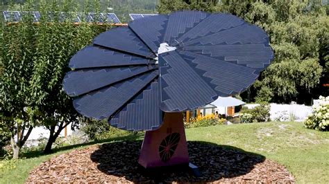 Smartflower Solar Energy Cost | Best Flower Site