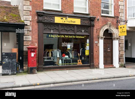 Dogs Trust charity shop sign and logo UK Stock Photo - Alamy