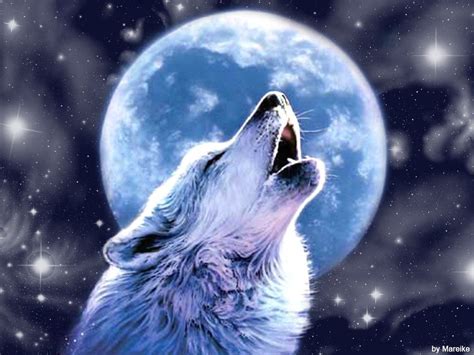 Cool Wolf Howling Wallpapers