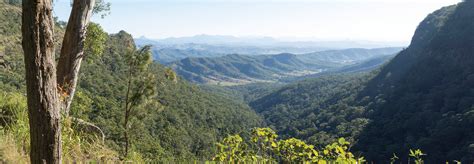 Lamington National Park & O'Reilly's, Gold Coast Hinterland - Gold ...