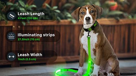 Amazon.com : Weesiber Glowing Light Up LED Dog Leash - 4ft USB ...