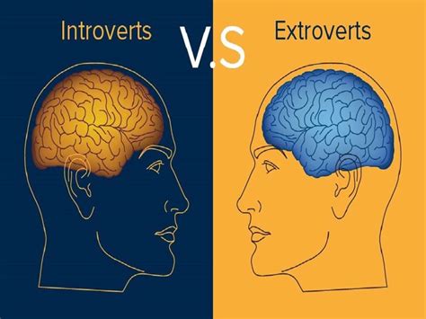 Test: Are You an Introvert or an Extrovert?