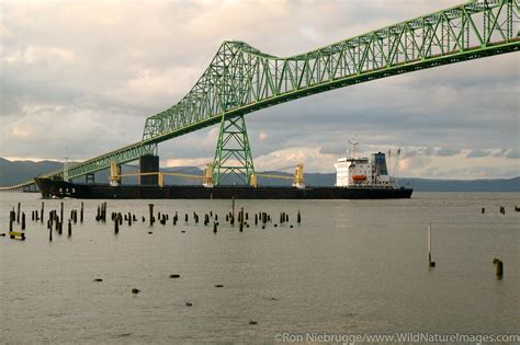 Astoria Bridge | Photos by Ron Niebrugge